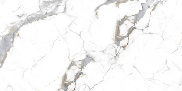 VENOM WHITE